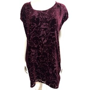 Aritzia Wilfred Bouchette Velvet Burnout Dress